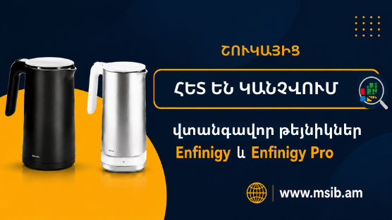 Շուկայից հետ են կանչվում Ցվիլլինգ (Zwilling) Enfinigy և Enfinigy Pro մոդելների վտանգավոր թեյնիկներ